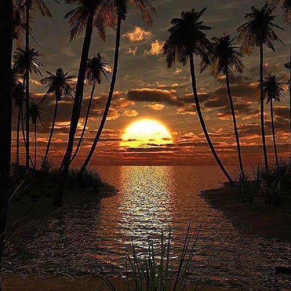 Meet your Posher, Paula - Picture 1 of 1